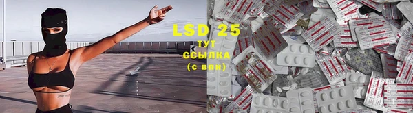 мдпв Надым