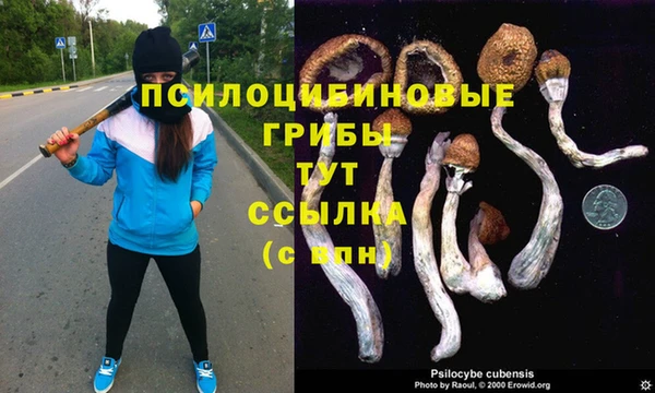 мдпв Надым