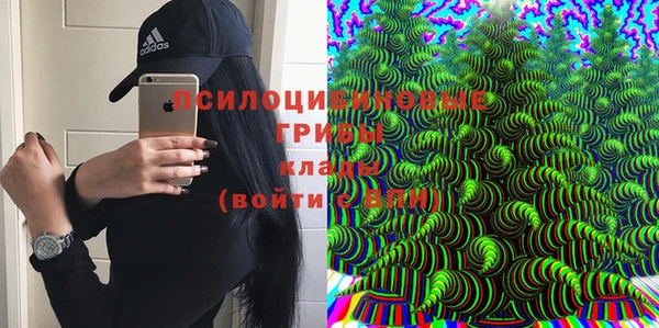2c-b Нефтегорск