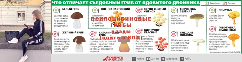 Галлюциногенные грибы Psilocybine cubensis  Зерноград 