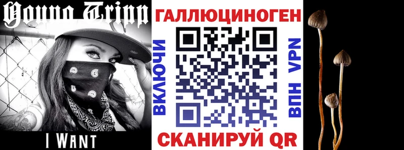 купить закладку  Зерноград  Псилоцибиновые грибы Magic Shrooms 