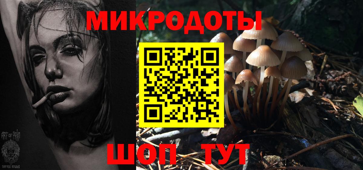 Зерноград  Галлюциногенные грибы GOLDEN TEACHER  Вход с VPN 